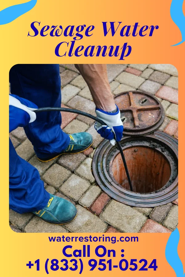 Sewage Water Cleanup in St. Mary's, CO